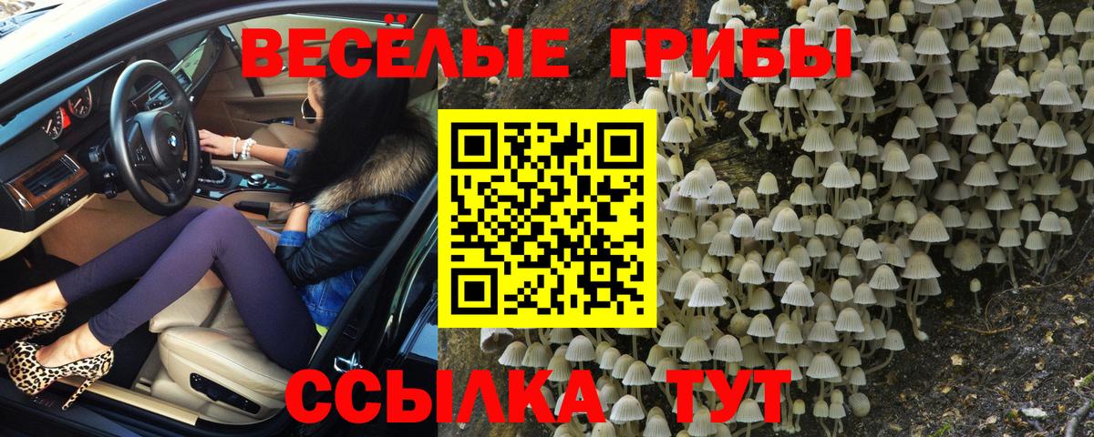 купить наркотик  Вход с VPN  Урюпинск  Псилоцибиновые грибы Psilocybine cubensis 
