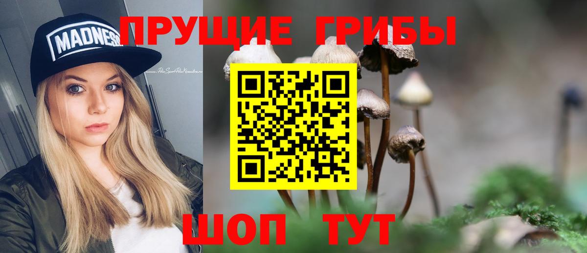 Псилоцибиновые грибы мицелий Урюпинск